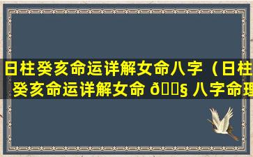 日柱癸亥命运详解女命八字（日柱癸亥命运详解女命 🐧 八字命理）